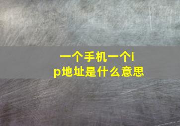 一个手机一个ip地址是什么意思