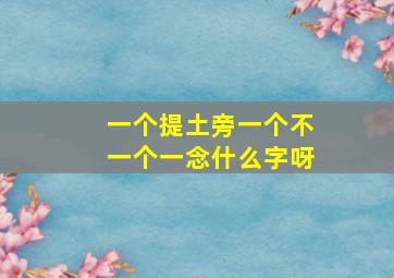 一个提土旁一个不一个一念什么字呀