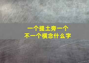 一个提土旁一个不一个横念什么字