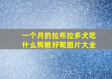 一个月的拉布拉多犬吃什么狗粮好呢图片大全