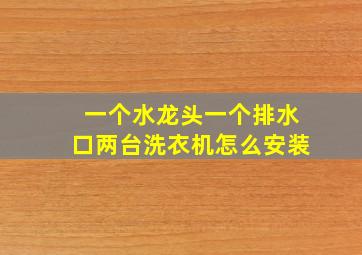 一个水龙头一个排水口两台洗衣机怎么安装