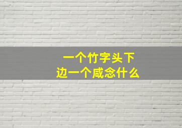 一个竹字头下边一个咸念什么