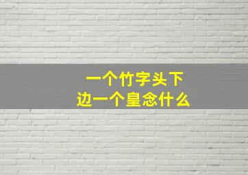 一个竹字头下边一个皇念什么