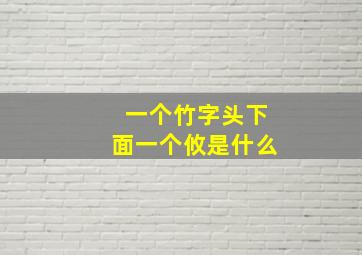 一个竹字头下面一个攸是什么