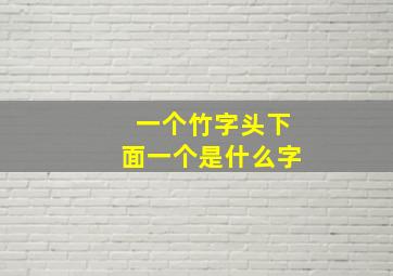 一个竹字头下面一个是什么字