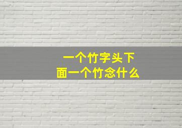 一个竹字头下面一个竹念什么