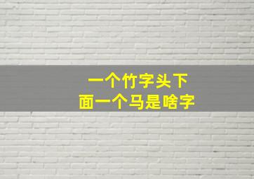 一个竹字头下面一个马是啥字