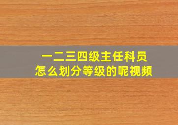 一二三四级主任科员怎么划分等级的呢视频