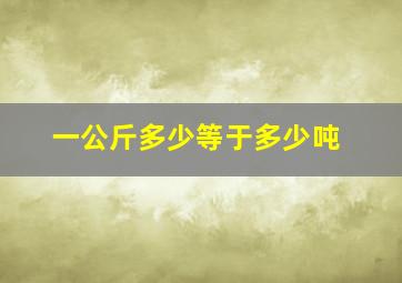 一公斤多少等于多少吨