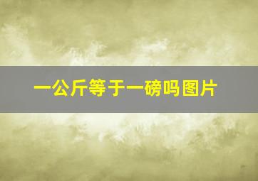 一公斤等于一磅吗图片