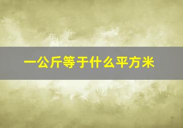 一公斤等于什么平方米