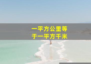 一平方公里等于一平方千米