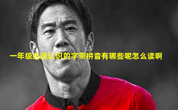 一年级必须认识的字带拼音有哪些呢怎么读啊