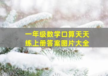 一年级数学口算天天练上册答案图片大全