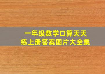 一年级数学口算天天练上册答案图片大全集