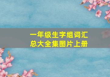 一年级生字组词汇总大全集图片上册