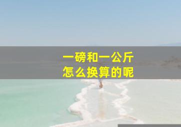 一磅和一公斤怎么换算的呢