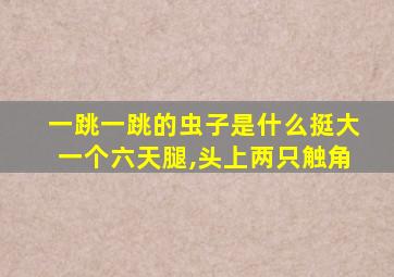 一跳一跳的虫子是什么挺大一个六天腿,头上两只触角