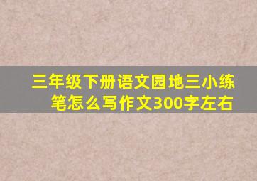 三年级下册语文园地三小练笔怎么写作文300字左右