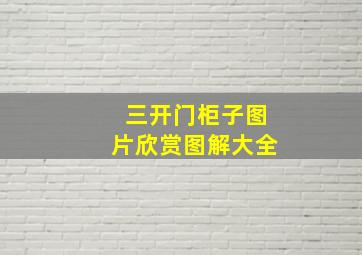 三开门柜子图片欣赏图解大全