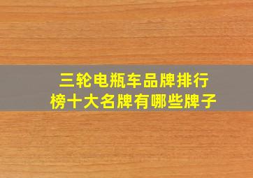 三轮电瓶车品牌排行榜十大名牌有哪些牌子