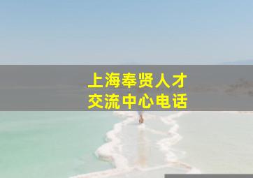 上海奉贤人才交流中心电话