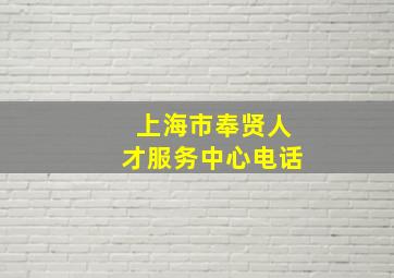 上海市奉贤人才服务中心电话