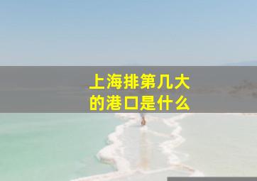 上海排第几大的港口是什么