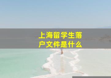 上海留学生落户文件是什么