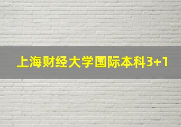 上海财经大学国际本科3+1