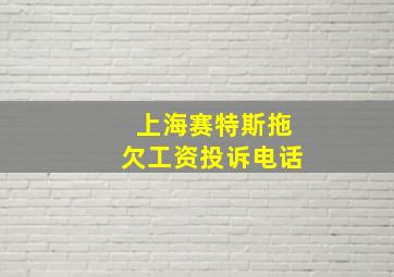 上海赛特斯拖欠工资投诉电话