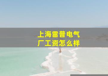 上海雷普电气厂工资怎么样