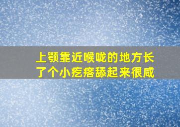 上颚靠近喉咙的地方长了个小疙瘩舔起来很咸