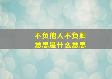 不负他人不负卿意思是什么意思