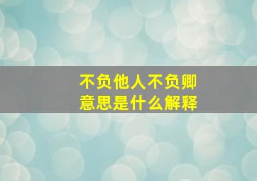 不负他人不负卿意思是什么解释