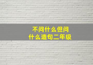 不问什么但问什么造句二年级