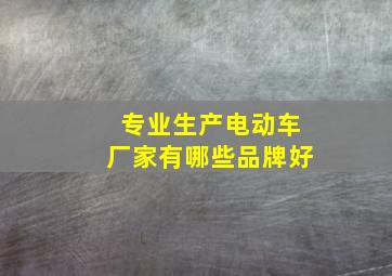 专业生产电动车厂家有哪些品牌好