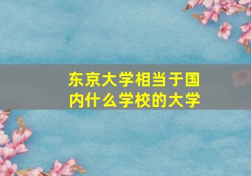 东京大学相当于国内什么学校的大学