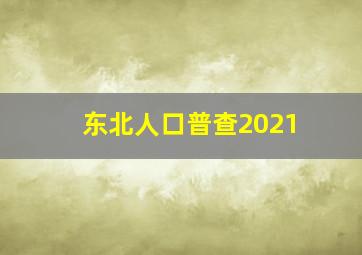 东北人口普查2021