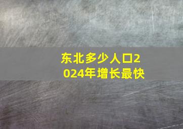 东北多少人口2024年增长最快