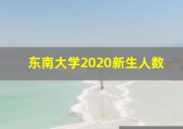 东南大学2020新生人数