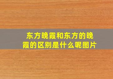 东方晚霞和东方的晚霞的区别是什么呢图片