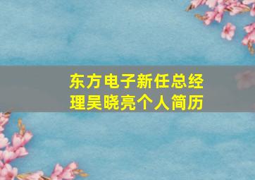 东方电子新任总经理吴晓亮个人简历