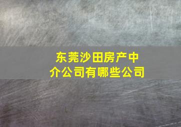 东莞沙田房产中介公司有哪些公司