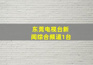 东莞电视台新闻综合频道1台