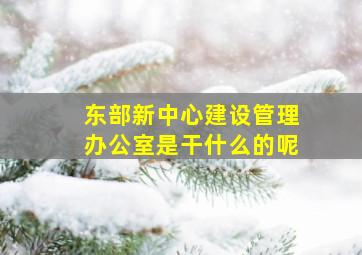 东部新中心建设管理办公室是干什么的呢