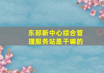 东部新中心综合管理服务站是干嘛的