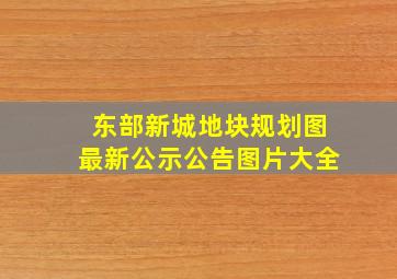 东部新城地块规划图最新公示公告图片大全