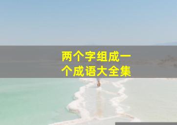 两个字组成一个成语大全集