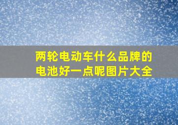 两轮电动车什么品牌的电池好一点呢图片大全